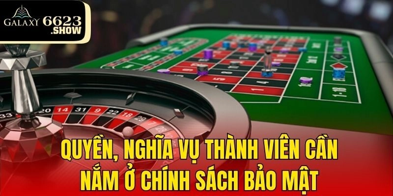 Quyền, nghĩa vụ thành viên cần nắm ở chính sách bảo mật