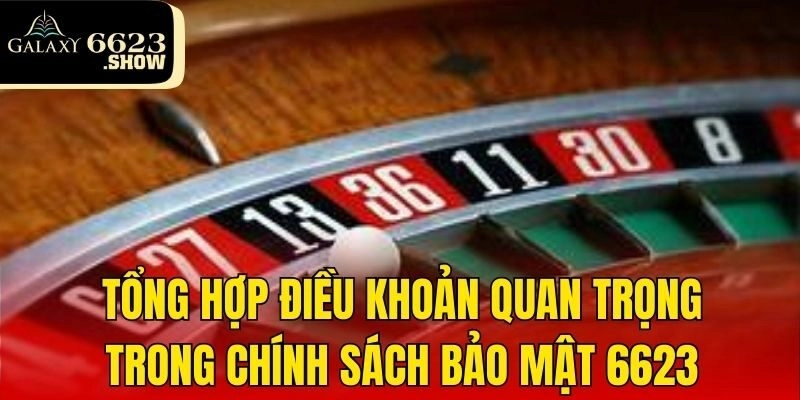 Tổng hợp điều khoản quan trọng trong chính sách bảo mật 6623