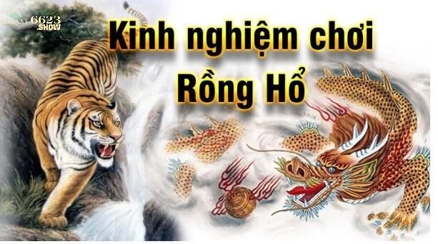 Luật - cách chơi Rồng Hổ