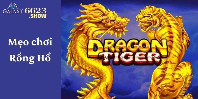 Lợi ích khi sử dụng những kinh nghiệm tham gia