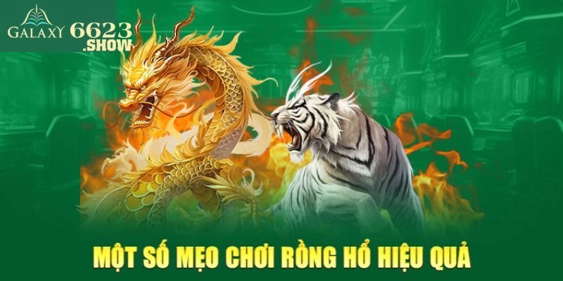Mẹo Chơi Rồng Hổ Bất Bại Khi Tham Gia Nhà Cái 6623