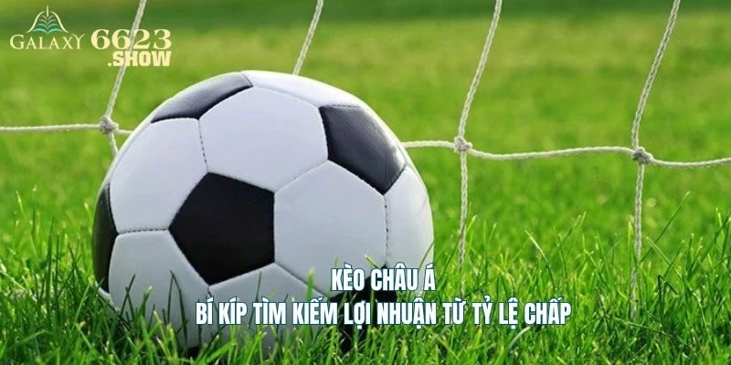 Chi tiết cách soi kèo châu Á hiệu quả như cao thủ