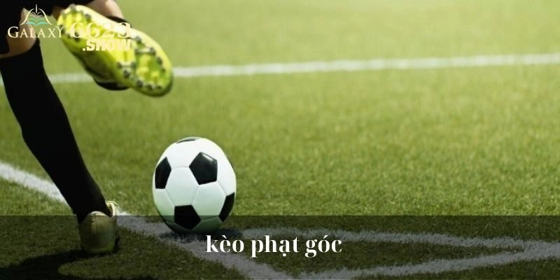 Bật mí những phương pháp dự đoán kèo chuẩn xác