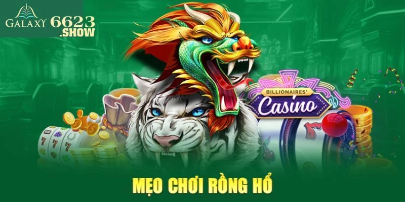 Tổng hợp một số mẹo chơi Rồng hổ luôn thắng