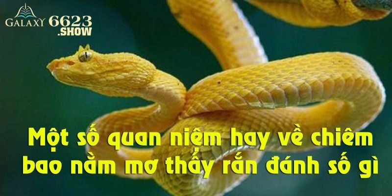 Khám phá con số may mắn khi mơ thấy rắn