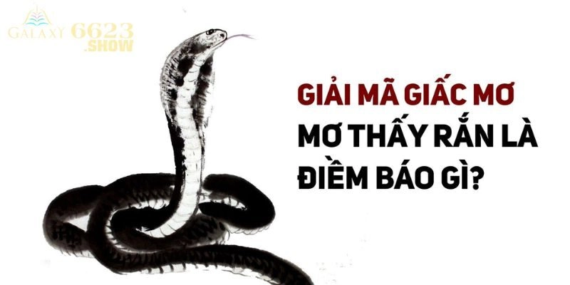 Tìm hiểu những điểm báo về giấc mộng